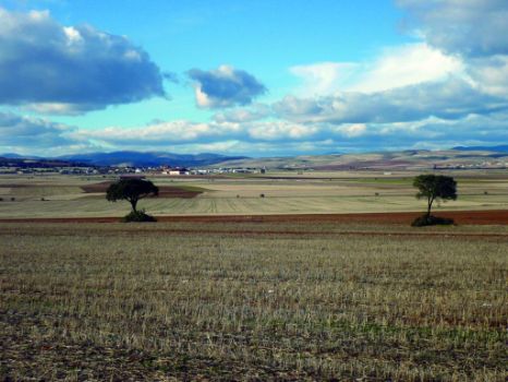Panorámica desde la Sierra del Madero